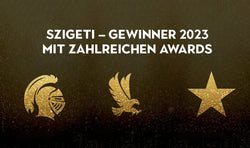 SZIGETI Award Gewinner 2023