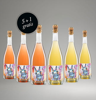 SZIGETI WINNER PACKAGE 2025