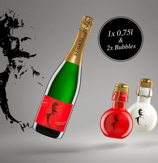 Johann Strauss Waltz Package